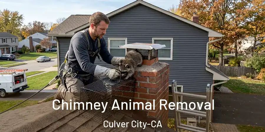  Chimney Animal Removal Culver City-CA